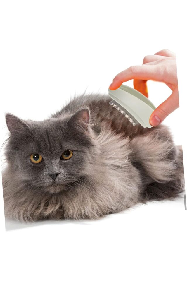 Kedi Bakım Seti Banyo Fırçası Evcil Hayvan Temizleme Kiti Masaj Tarağı Seyahat Seti(Üç Renk)