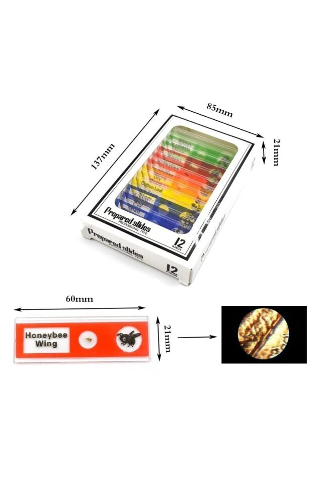 Eğitici Mikroskop Seti 1200x Biyolojik Mikroskop Kiti Led Işıklı 12 Adet Biyolojik Örnek İle