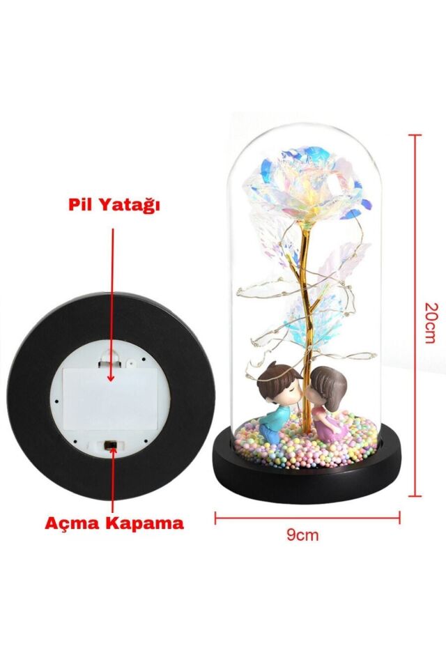 Cam Fanus Içerisinde Sevgili Çift Sevgililer Günü Anneler Günü Hediyesi Solmayan Beyaz Gül
