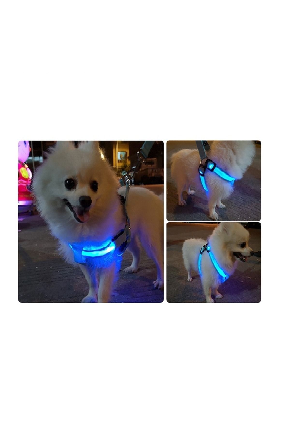 Led Işıklı Kedi Köpek Göğüs Tasması Küçük Irk Harness Air Mash Evcil Hayvan Ayarlanabilir Tasma