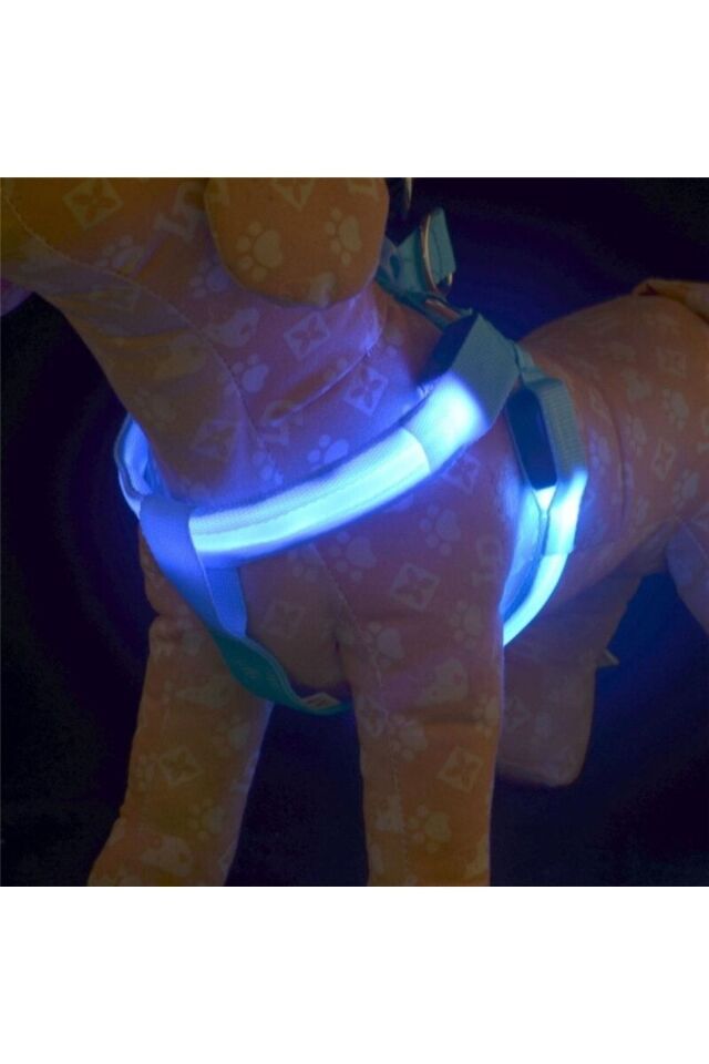 Led Işıklı Kedi Köpek Göğüs Tasması Küçük Irk Harness Air Mash Evcil Hayvan Ayarlanabilir Tasma