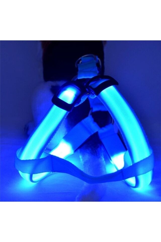 Led Işıklı Kedi Köpek Göğüs Tasması Küçük Irk Harness Air Mash Evcil Hayvan Ayarlanabilir Tasma
