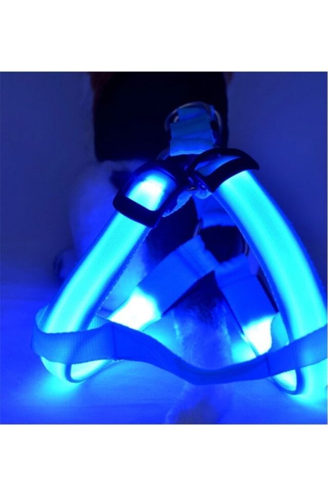 Led Işıklı Kedi Köpek Göğüs Tasması Küçük Irk Harness Air Mash Evcil Hayvan Ayarlanabilir Tasma